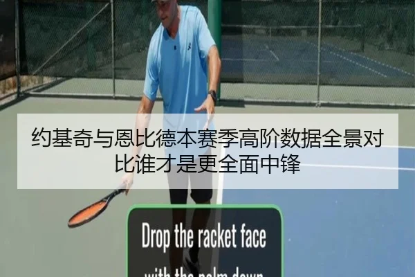 约基奇与恩比德本赛季高阶数据全景对比谁才是更全面中锋
